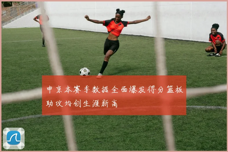 申京本赛季数据全面爆发得分篮板助攻均创生涯新高